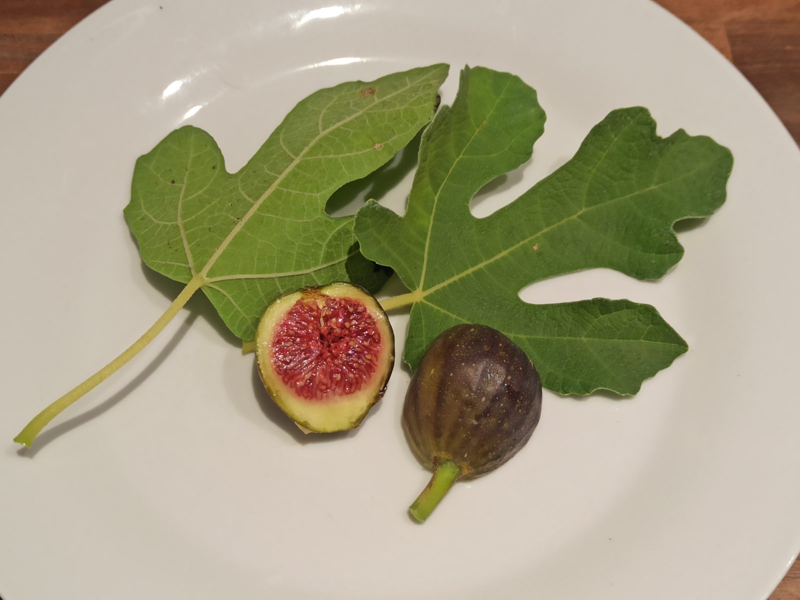 Sind Feigen vegan? Mythos oder Wahrheit aufgeklärt 4 1665039603752