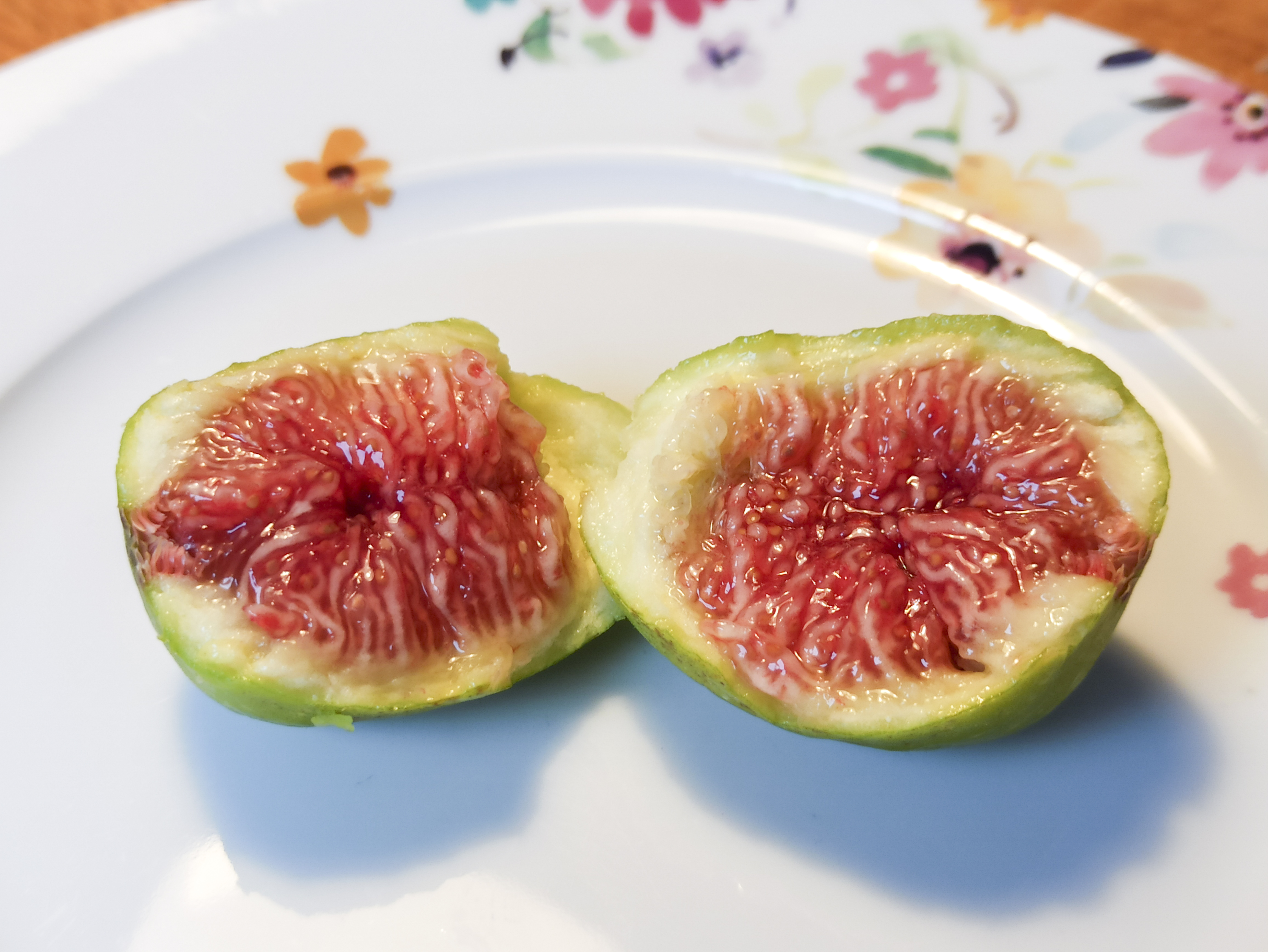 Sind Feigen vegan? Mythos oder Wahrheit aufgeklärt 6 1665643459512_1