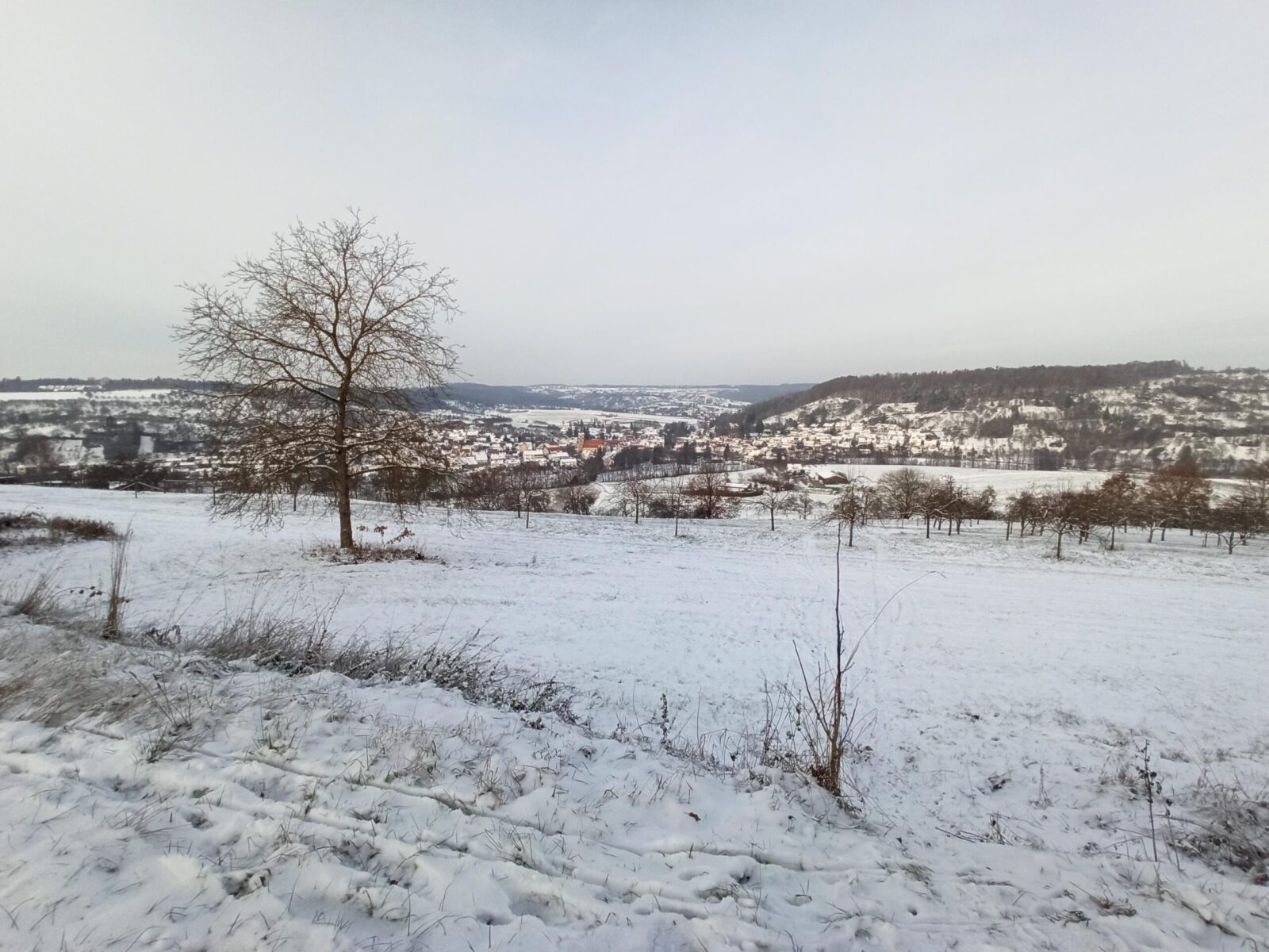 Img 20221218 143140