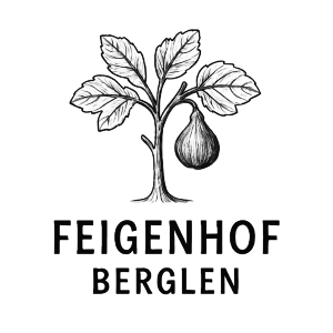 Hardy Chicago Feige: Winterharte Feigensorte bis -20°C 1 Feigenhof berglen logo 300x300