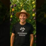 Feigenbaum 'Grise St. Jean' - Robuste Feigensorte pflegen 3 Die beste feigensorte – faq – www.feigenhof.de