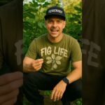 Feige am baum feigenhof.de #trending #feige #feigensong #viral #music #song #repost